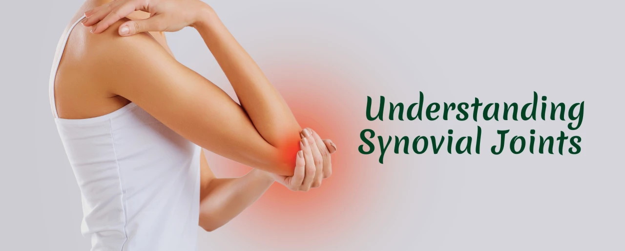 Synovial Joints: The Key to Mobility and Flexibility