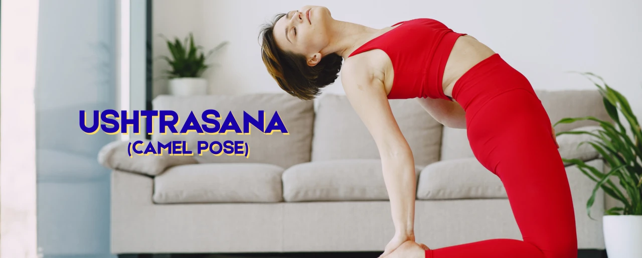 Ushtrasana (Camel Pose): The Ultimate Backbend for Flexibility, Strength, and Emotional Balance